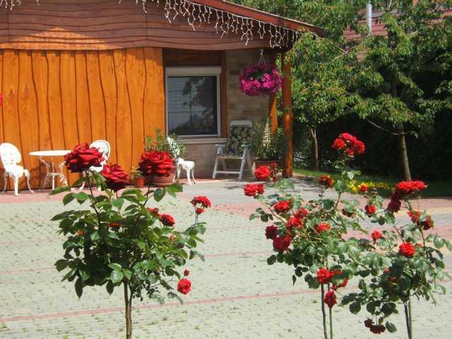 Angela Panzio Bed & Breakfast Berettyóújfalu Exterior foto