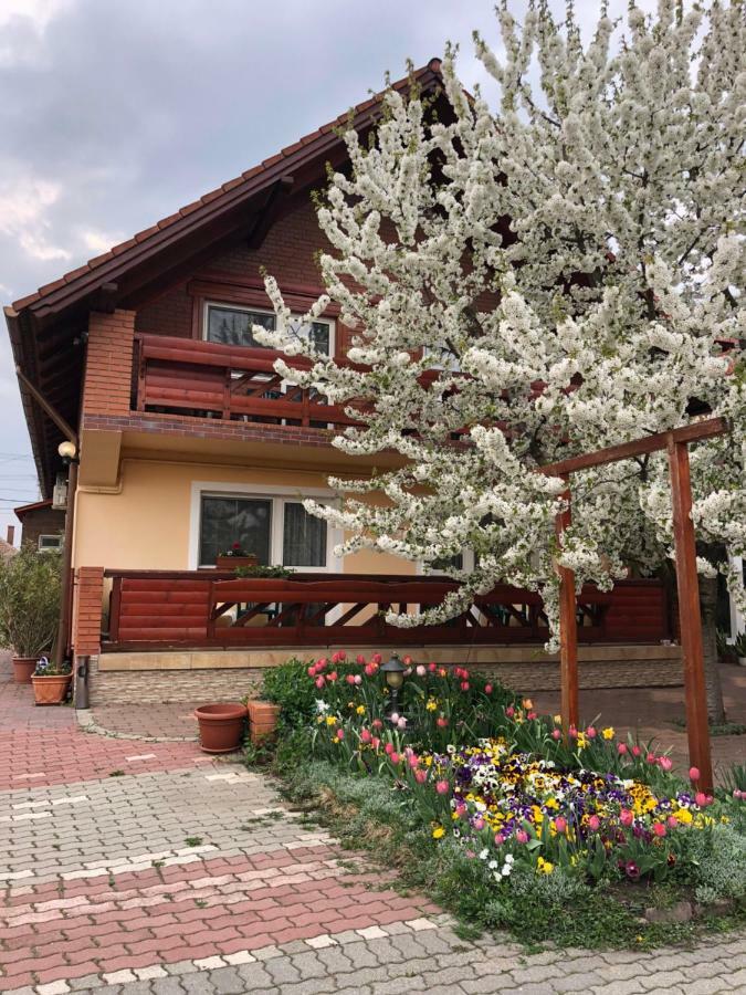 Angela Panzio Bed & Breakfast Berettyóújfalu Exterior foto